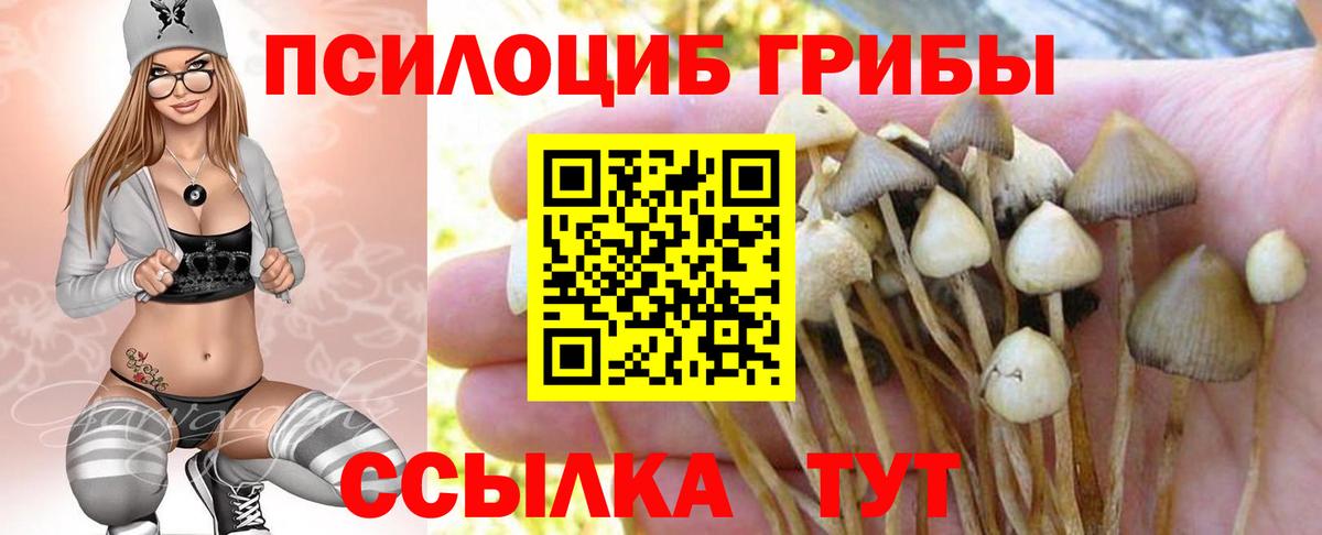 Псилоцибиновые грибы GOLDEN TEACHER  Вход с VPN  Протвино 