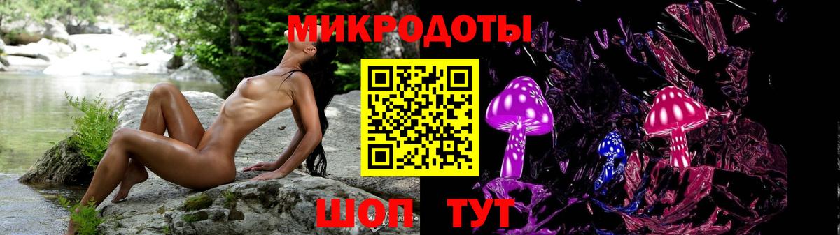 Галлюциногенные грибы Psilocybine cubensis Протвино